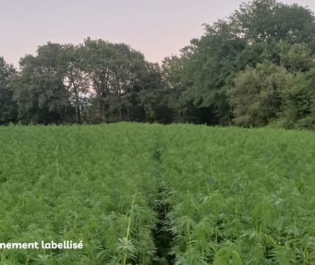 Webinaire Impacts des dispositifs participatifs sur l&rsquo;évolution des pratiques agricoles – Ex. du Laboratoire Vivant des Landes (Soilcrates)