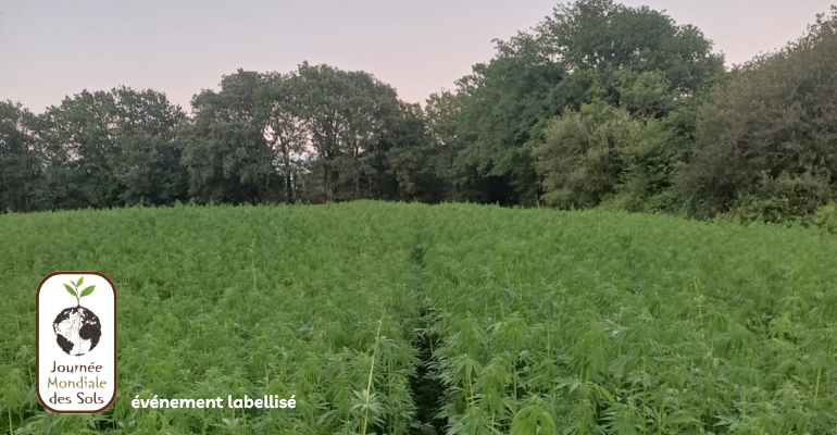 Webinaire Impacts des dispositifs participatifs sur l&rsquo;évolution des pratiques agricoles – Ex. du Laboratoire Vivant des Landes (Soilcrates)
