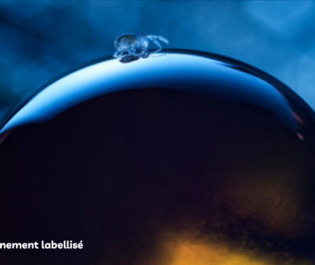 Exposition SOLS VIVANTS — Le peuple de l’invisible