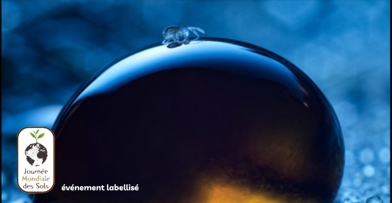 Exposition SOLS VIVANTS — Le peuple de l’invisible